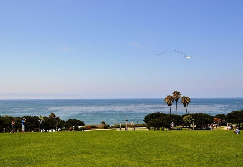 File:Seals at the beach of San Diego.jpg - Wikipedia